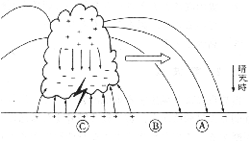 典型的な雷雲の電界分布図